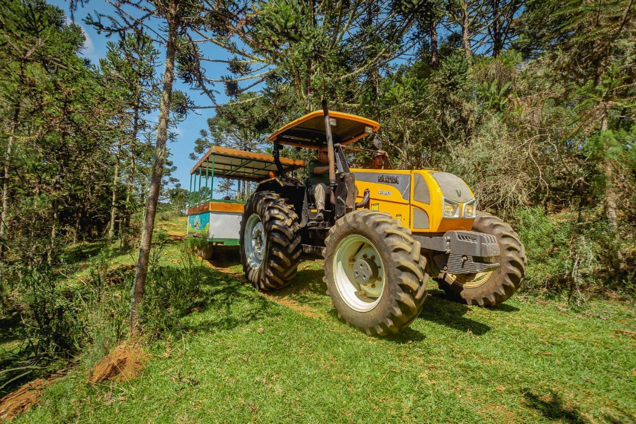 Hotel Fazenda Rota Dos Canions Бон-Жардин-да-Серра Экстерьер фото